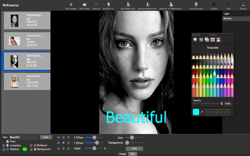 Screenshot #2 pour Batch Photo - Watermark