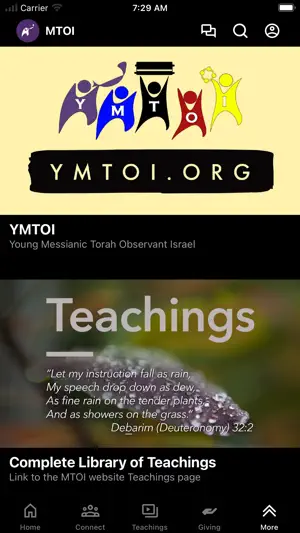 MTOI screenshot 4