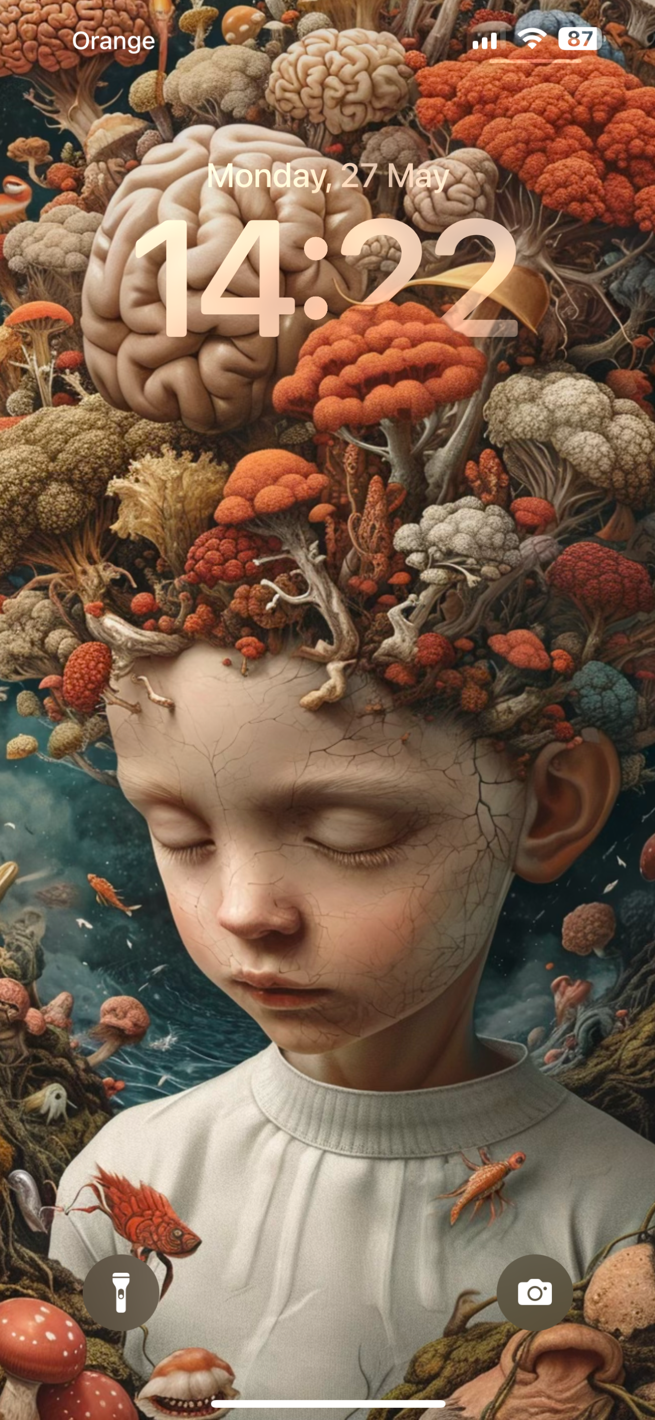 AI Wallpaper Creator iPhone