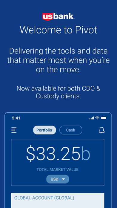 U.S. Bank Pivot Screenshot