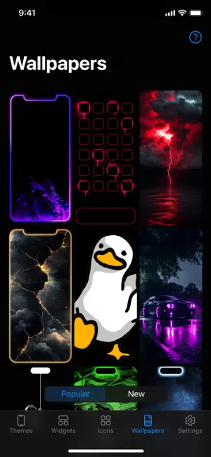 Reskin: Themes, Widgets, Icons screenshot 8