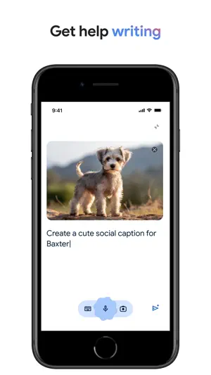 Google screenshot 4
