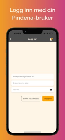 Pindena screenshot