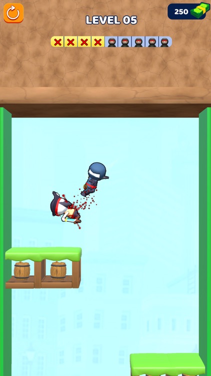 Assassin Ninja Fighting Game