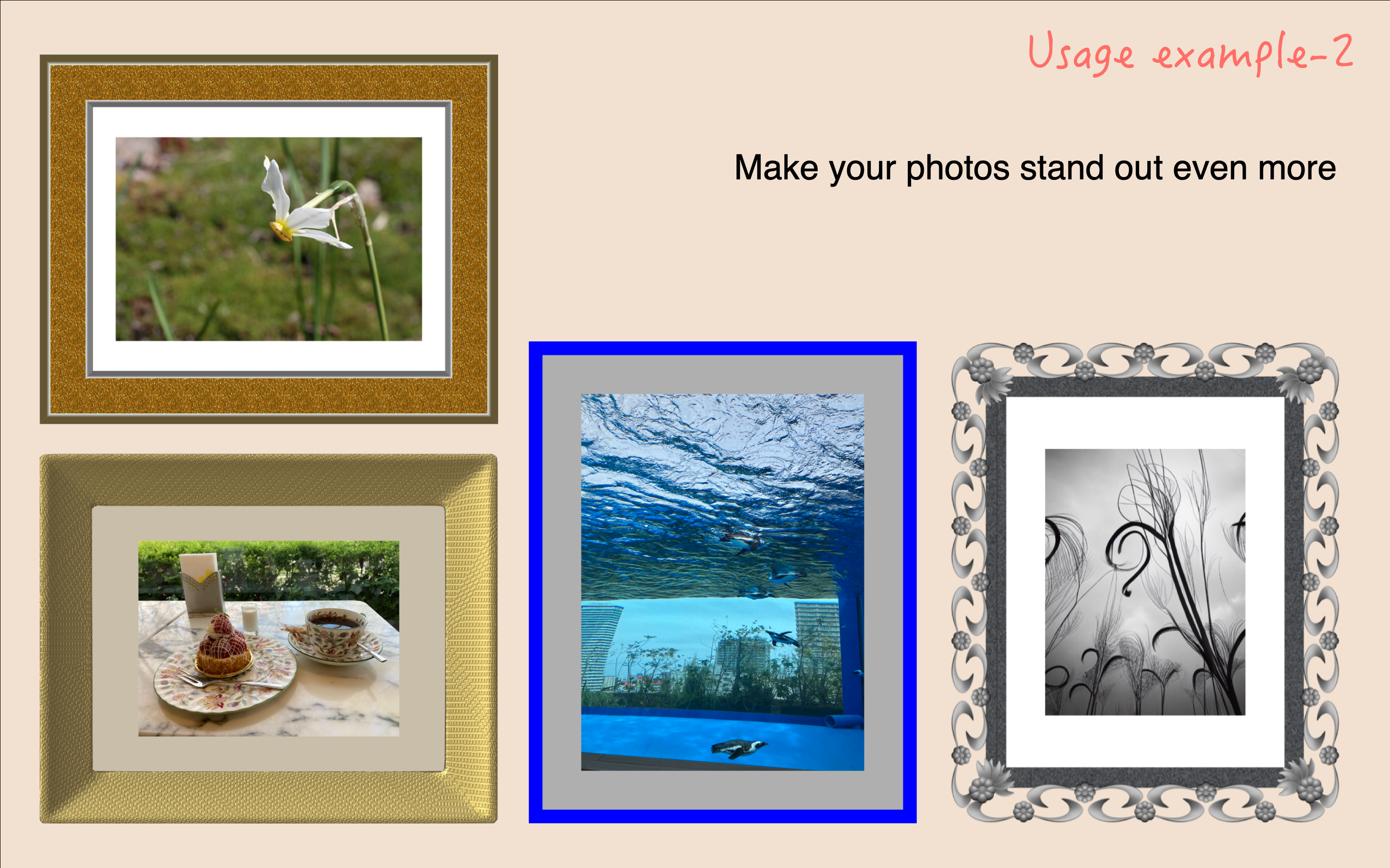 inTheFrame – Photos & Videos screenshot 24