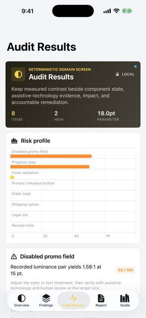 Perceptrail: A11y Audit screenshot 5