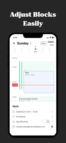 LifeBlocks: Daily Calendar iPhone screenshot