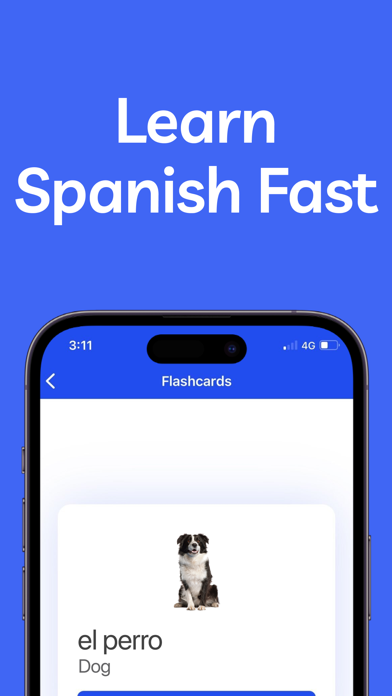 Learning Spanish for Beginners Screenshot