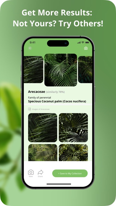 Plant Disease Identification Screenshot