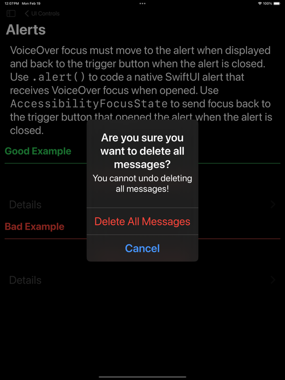 Accessibility Techniques iPad screenshot 6 - Developer Tools app
