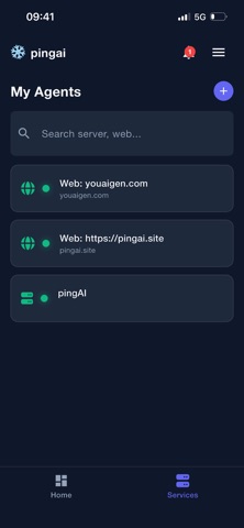 pingai.site screenshot