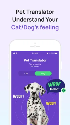 6Sense AI screenshot 3