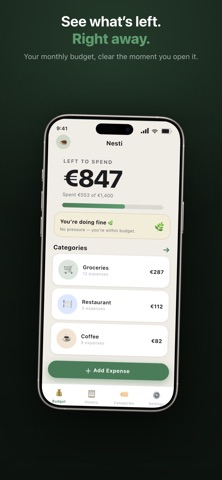 Nesti · Budget Planner screenshot