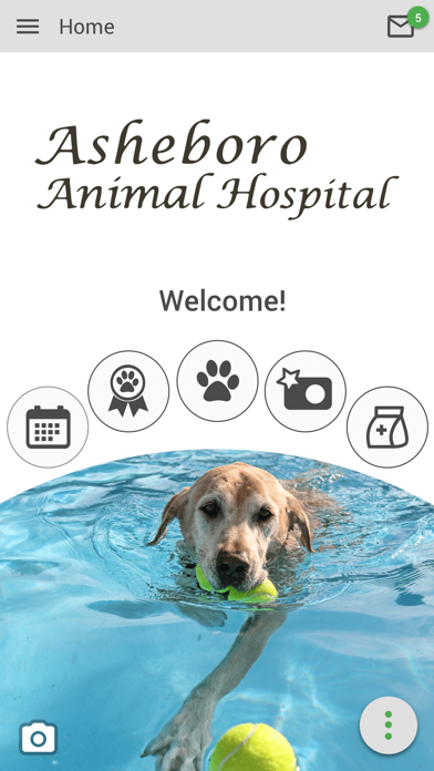 Asheboro Animal Hospital Screenshot