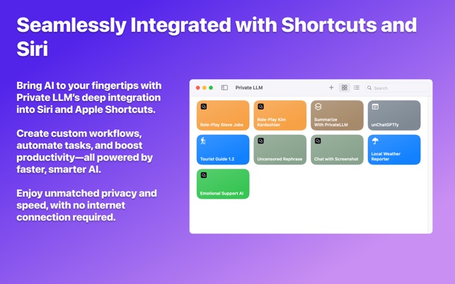 Private LLM Local AI Chat on the App Store