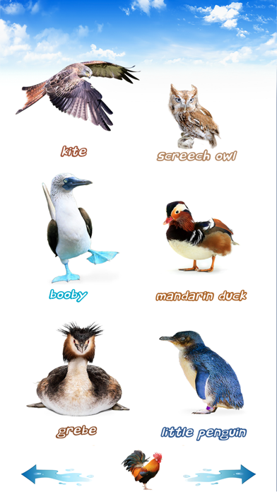 Screenshot 2 of Amazing Bird Sounds App