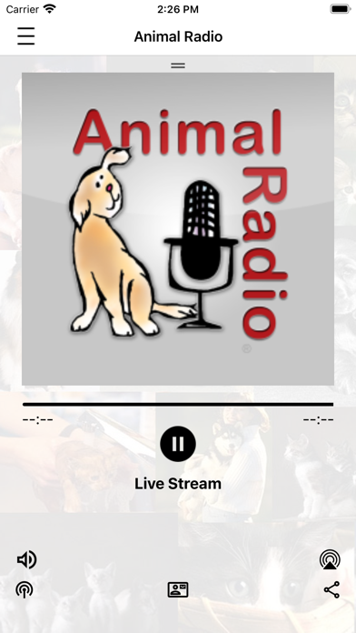 Animal Radio Screenshot
