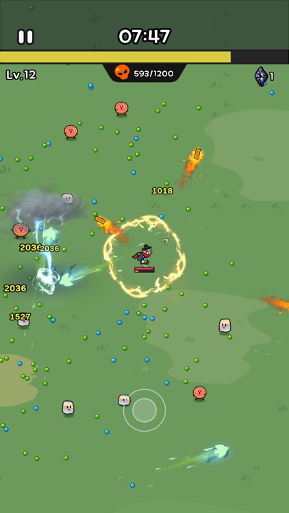 Dosa Survivor screenshot-6