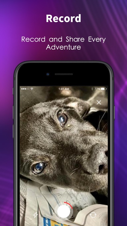 DoggoHub - For Dog Enthusiasts