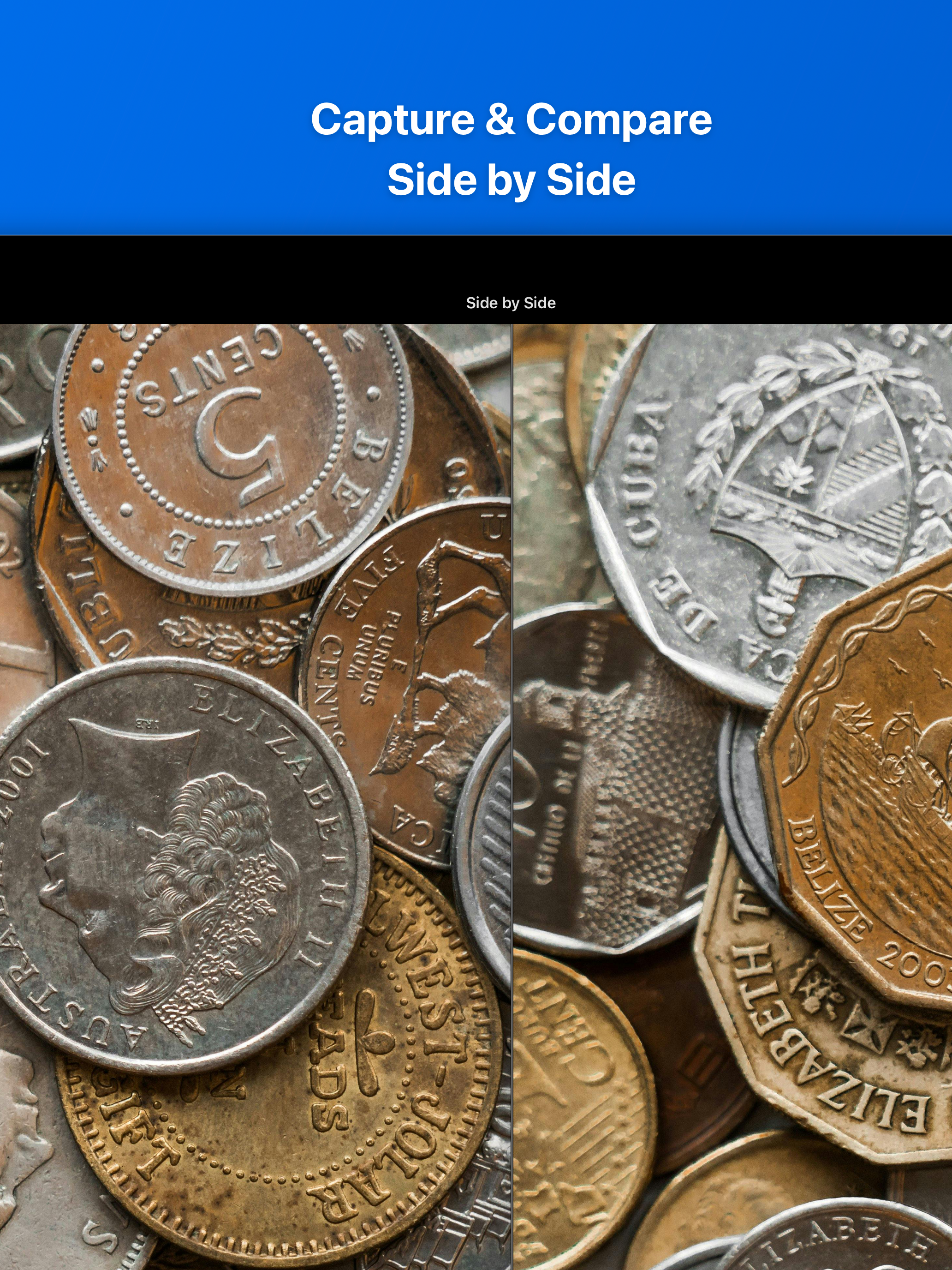 Magnifier & Microscope: Zoom screenshot 11