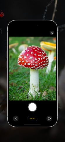 Mushroom Identifier: Scan & ID screenshot