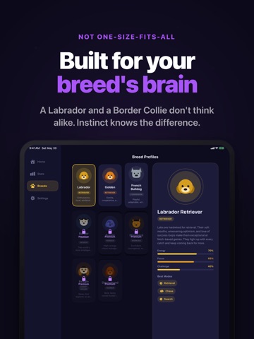 Instinct: Dog Enrichment Games iPad screenshot