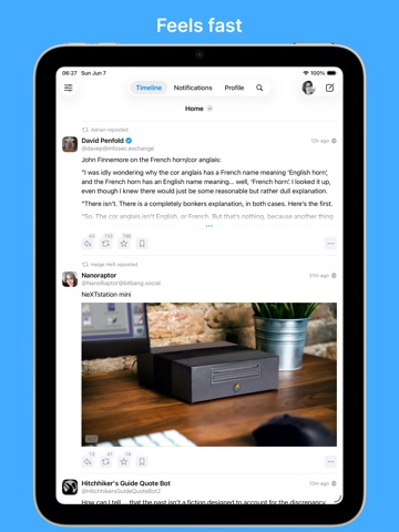 Crowfi for Mastodon