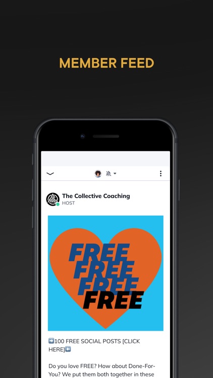 The Collective Community screenshot-3