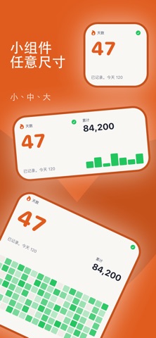 Streak Ledger: 俯卧撑计数器 screenshot