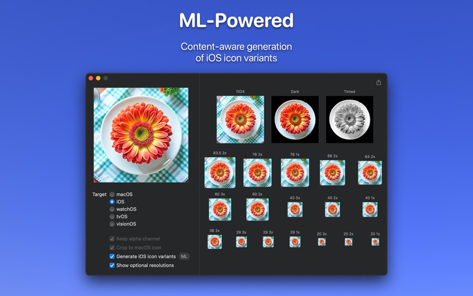 #3. Just Resize (macOS) โดย: Vladimir Fedorov