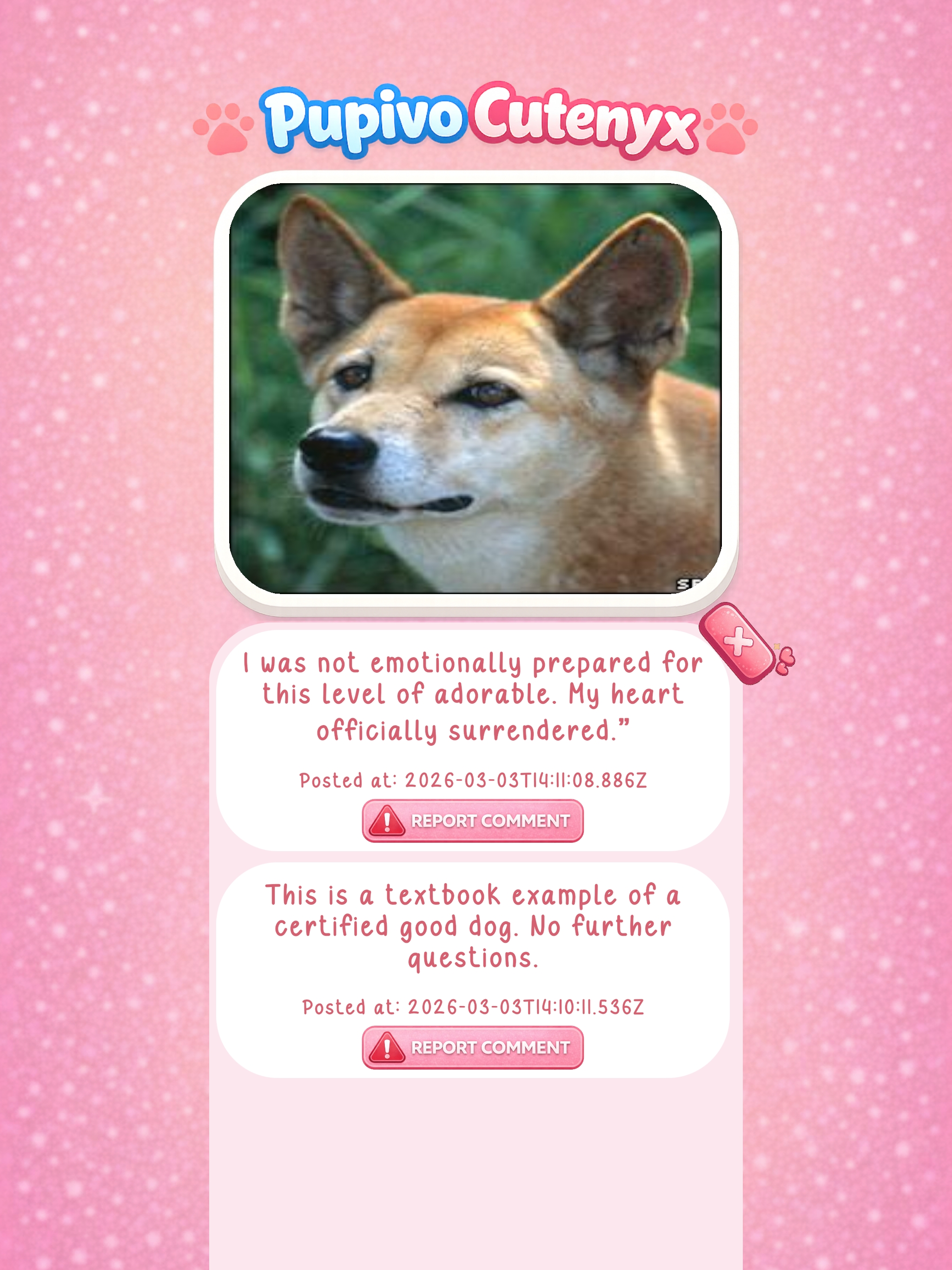 PupivoCutenyx screenshot 15