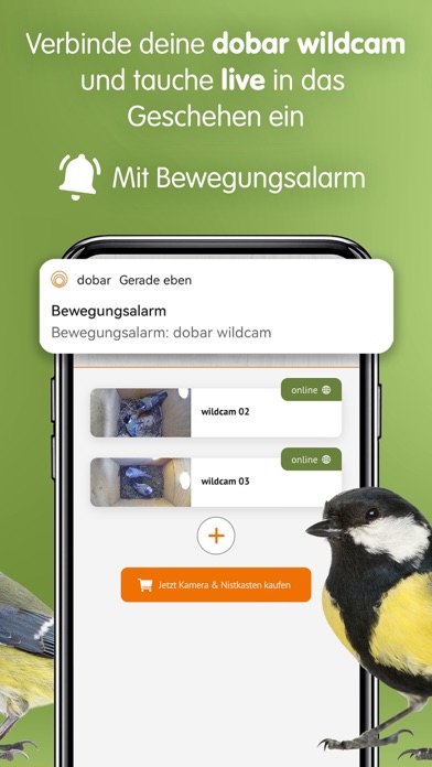 dobar wildlife Screenshot