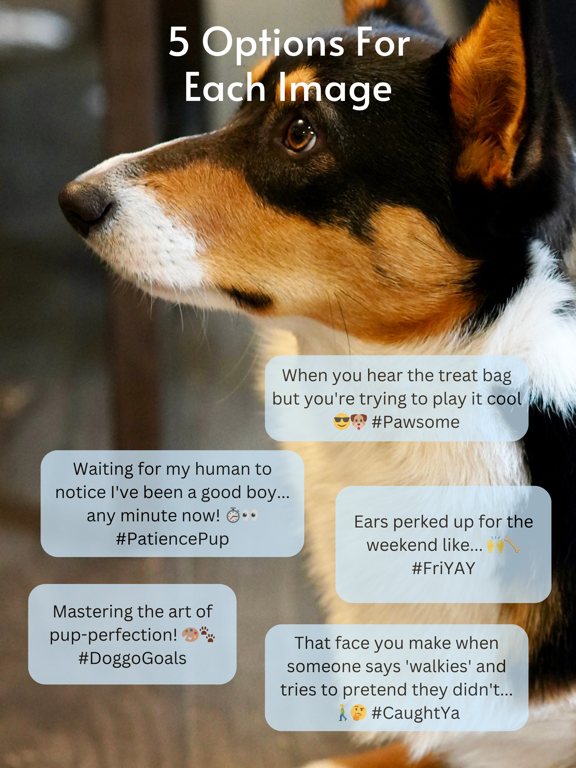 Capit AI Image Captions iPad screenshot 7 - Social Networking app