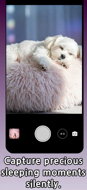 Timer Camera - Photo FIlter screenshot 2