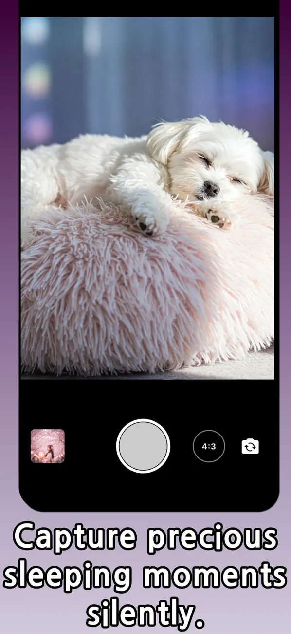 Screenshot #2 pour Timer Camera - Photo FIlter