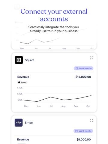 Novo - Small Business Checking ipad screenshot 4
