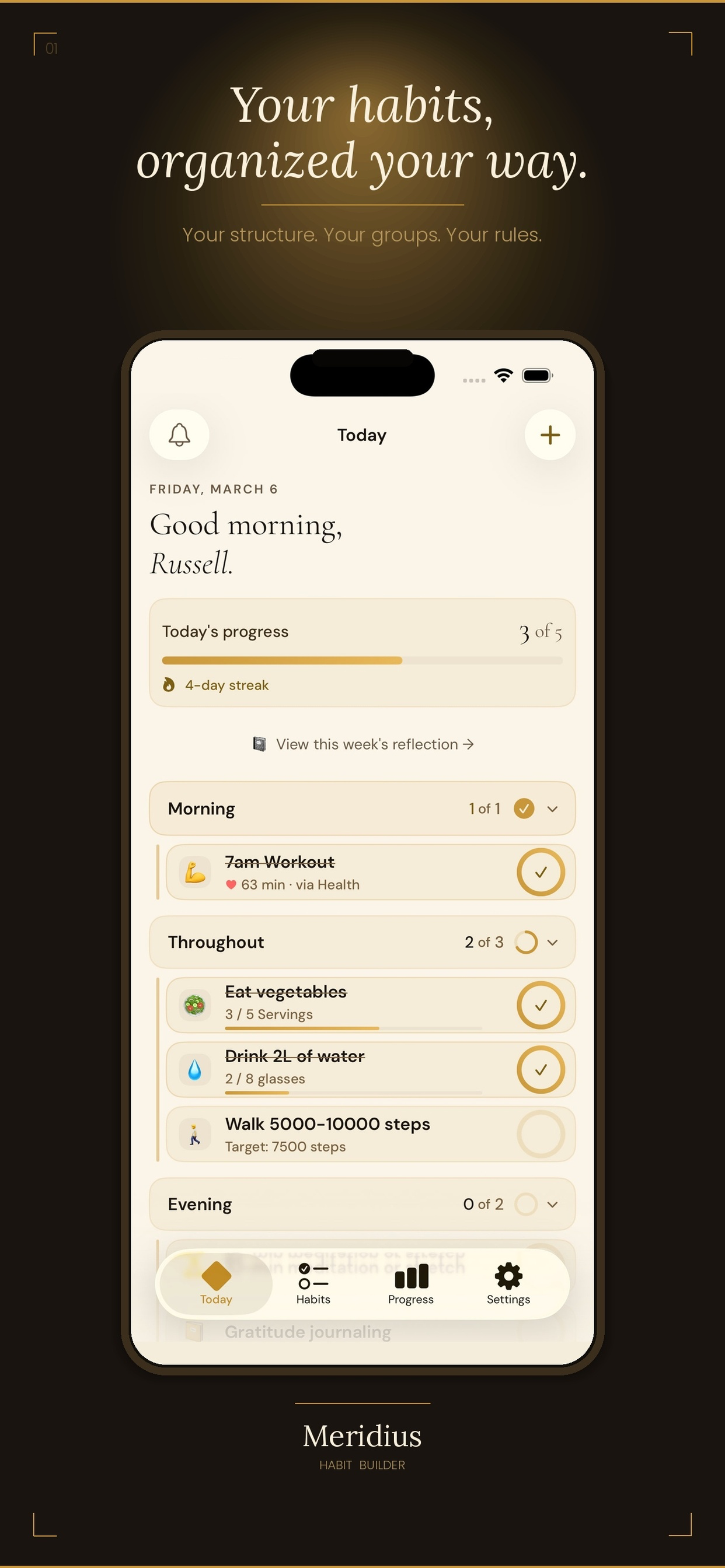 Meridius screenshot 3