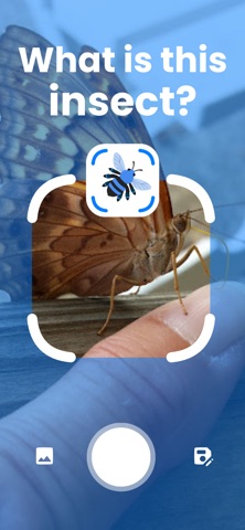 Bug Identifier: Insect Picture iPhone screenshot