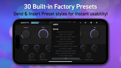 spaceVerb Screenshot