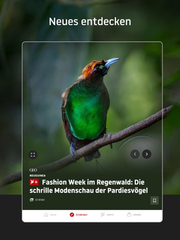 stern online: Nachrichten App iPad screenshot 6