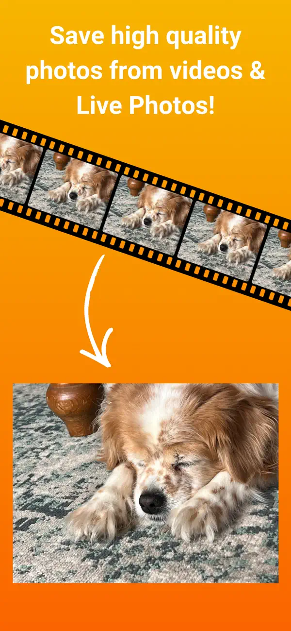 Screenshot #1 pour Photo Extractor