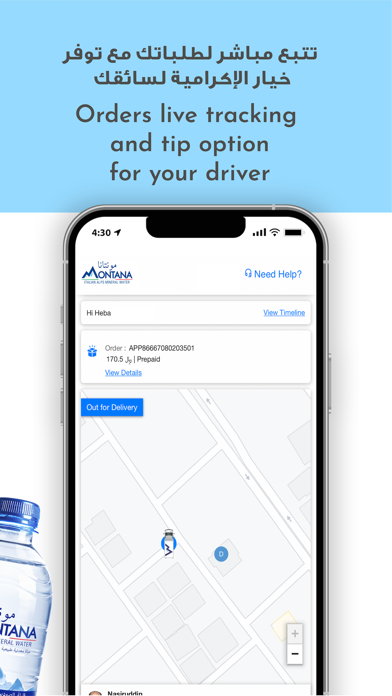 Montana Delivery Screenshot