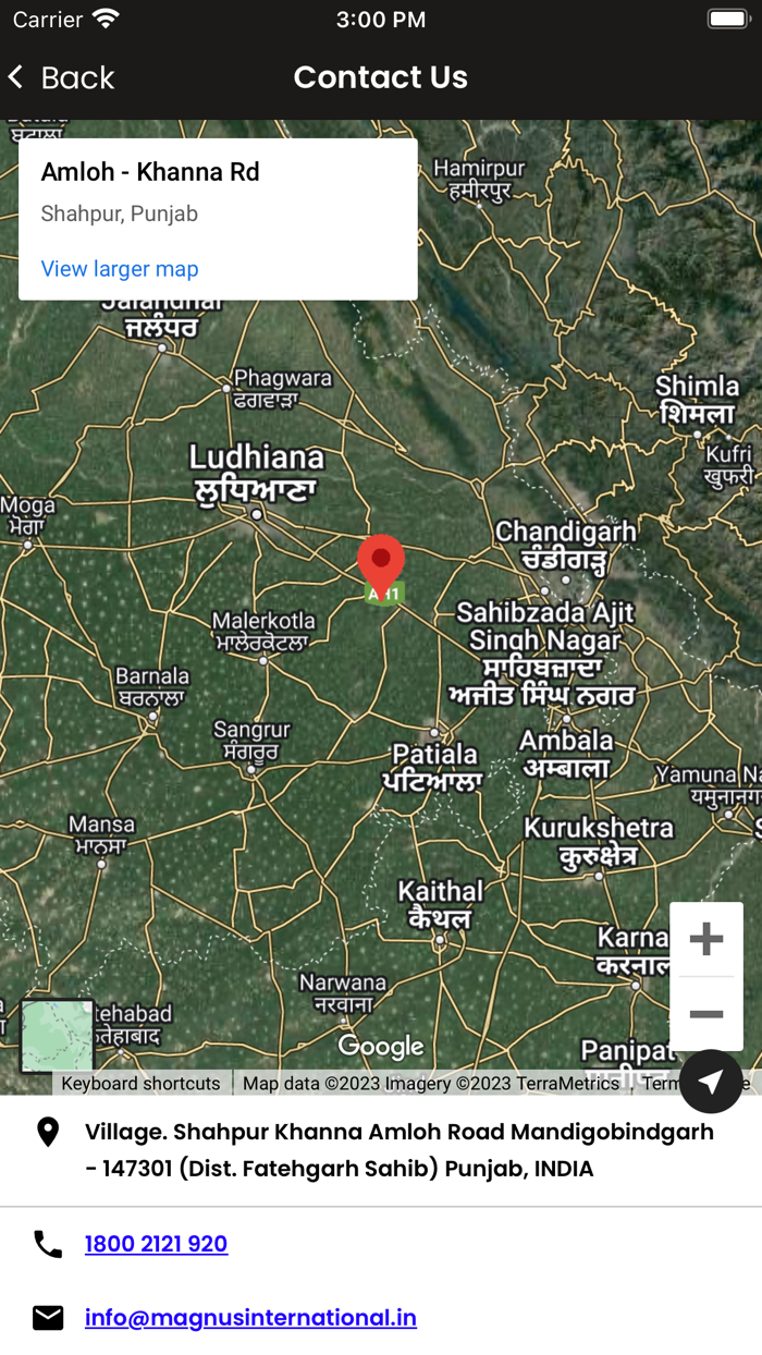 Magnus reward program