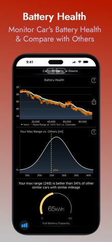 Stats -- For your Tesla iPhone screenshot