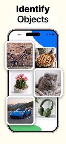Lens AI: Identifica Foto iPhone screenshot 4