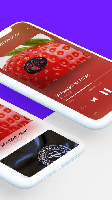 STAYG ALBUMS Screenshot