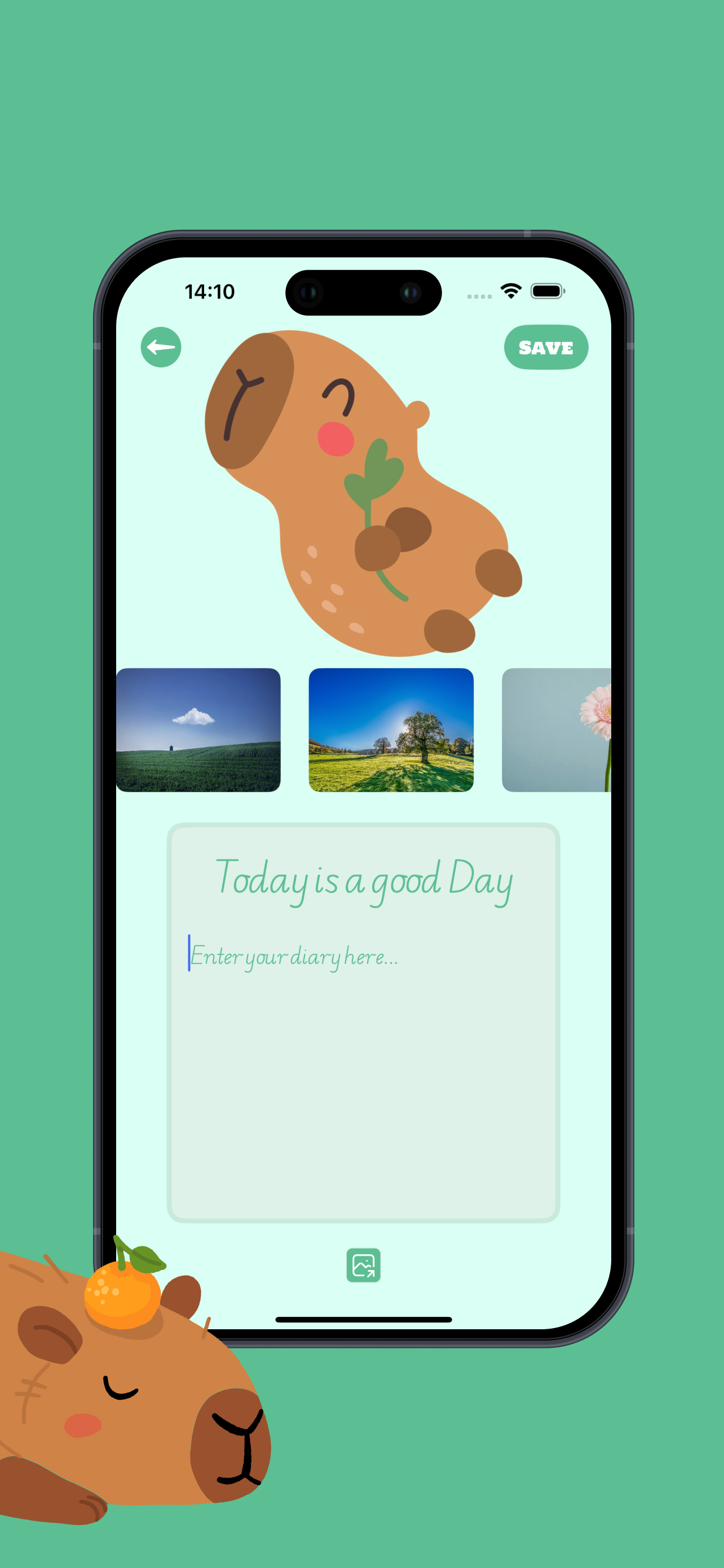Procreate & Mood Play