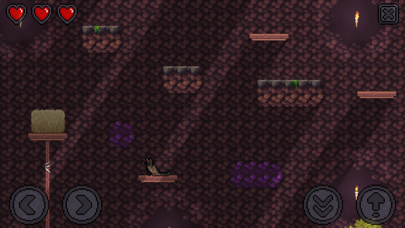 Canine Climb Screenshot
