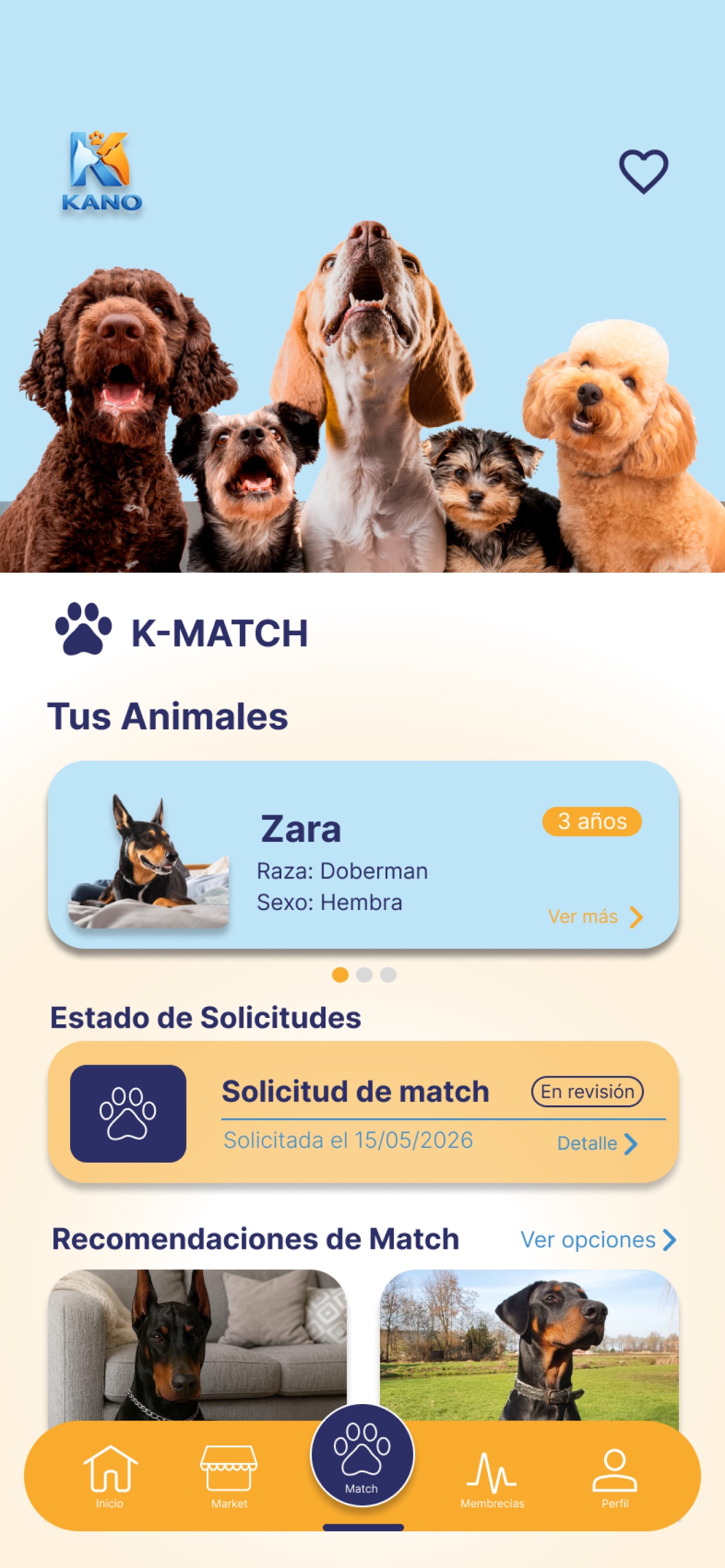 Screenshot 5 of Kano Pet Connection