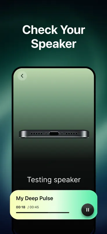 PulseClean-Speaker Clean screenshot 4 of 4